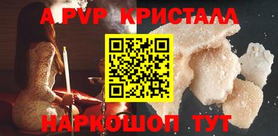 a pvp Кингисепп