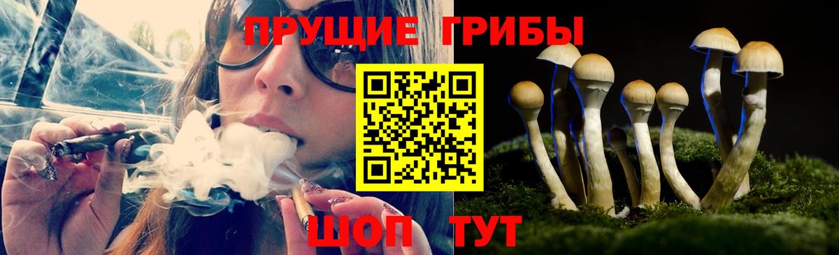 наркошоп  Псилоцибиновые грибы мухоморы  Вход с VPN  Краснознаменск  Галлюциногенные грибы Magic Shrooms 